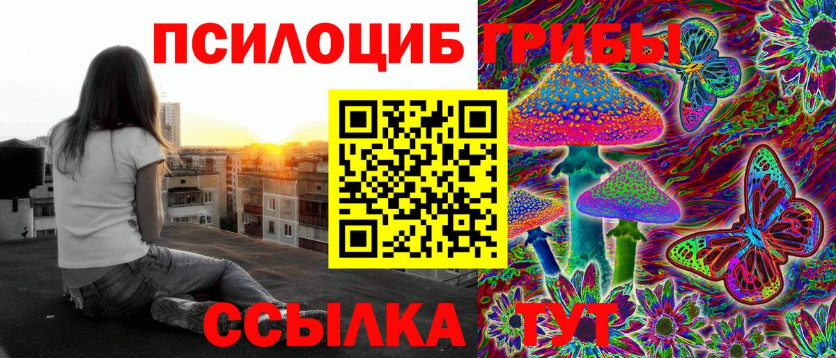 Волжский  Псилоцибиновые грибы Psilocybe  Вход с VPN  Галлюциногенные грибы Psilocybe 